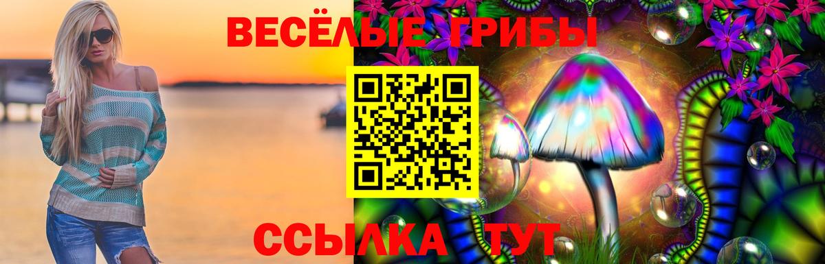 Галлюциногенные грибы ЛСД  Вход с VPN  Похвистнево  закладки  Псилоцибиновые грибы Psilocybine cubensis 